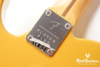 Player Plus  Nashville Telecaster - Butterscotch Blonde